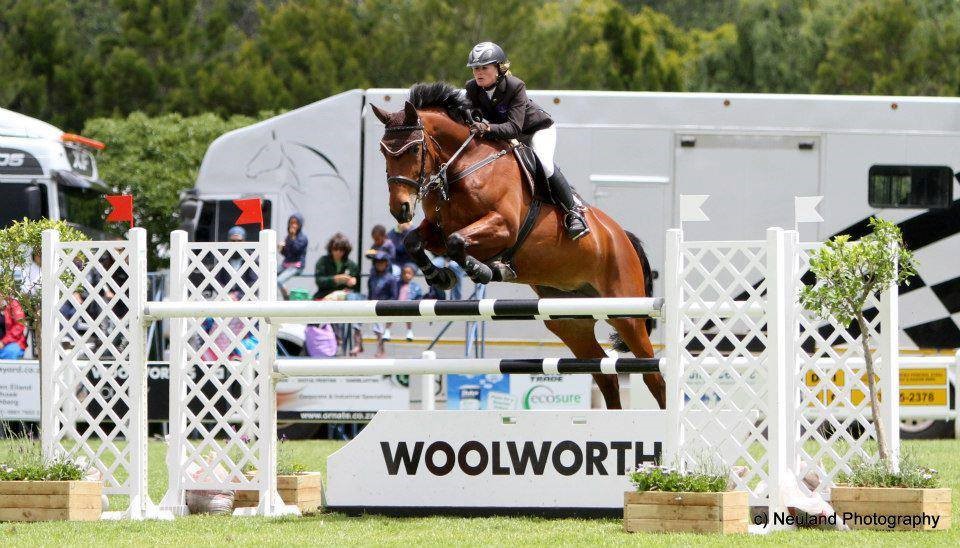 Springpferde Die besten 6-jährigen Springpferde in 2020 - Horsebreeder International
