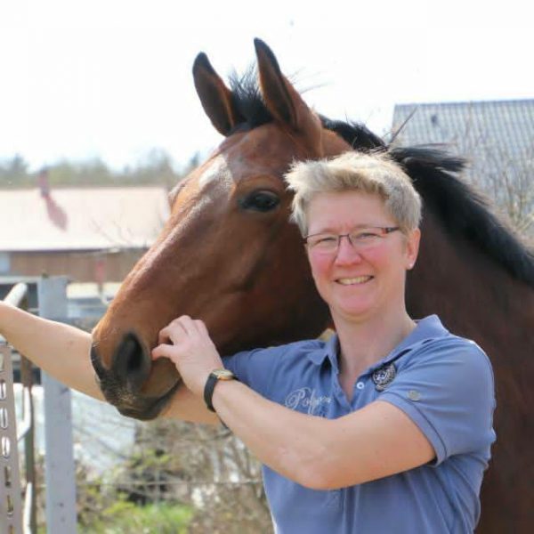 Hof Peters Heide Peters Horsebreeder International