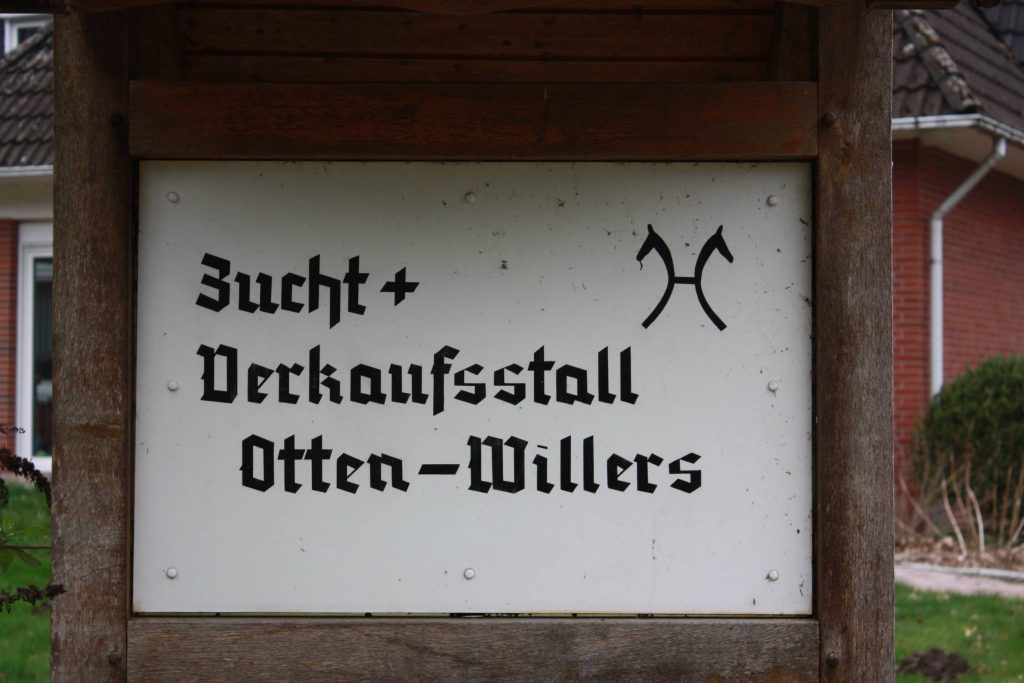 Otten-Willers Pferdezucht