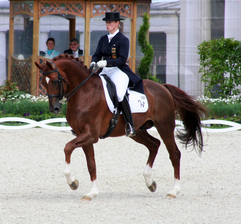 The final entries of the ECCO FEI World Championships Herning 2022