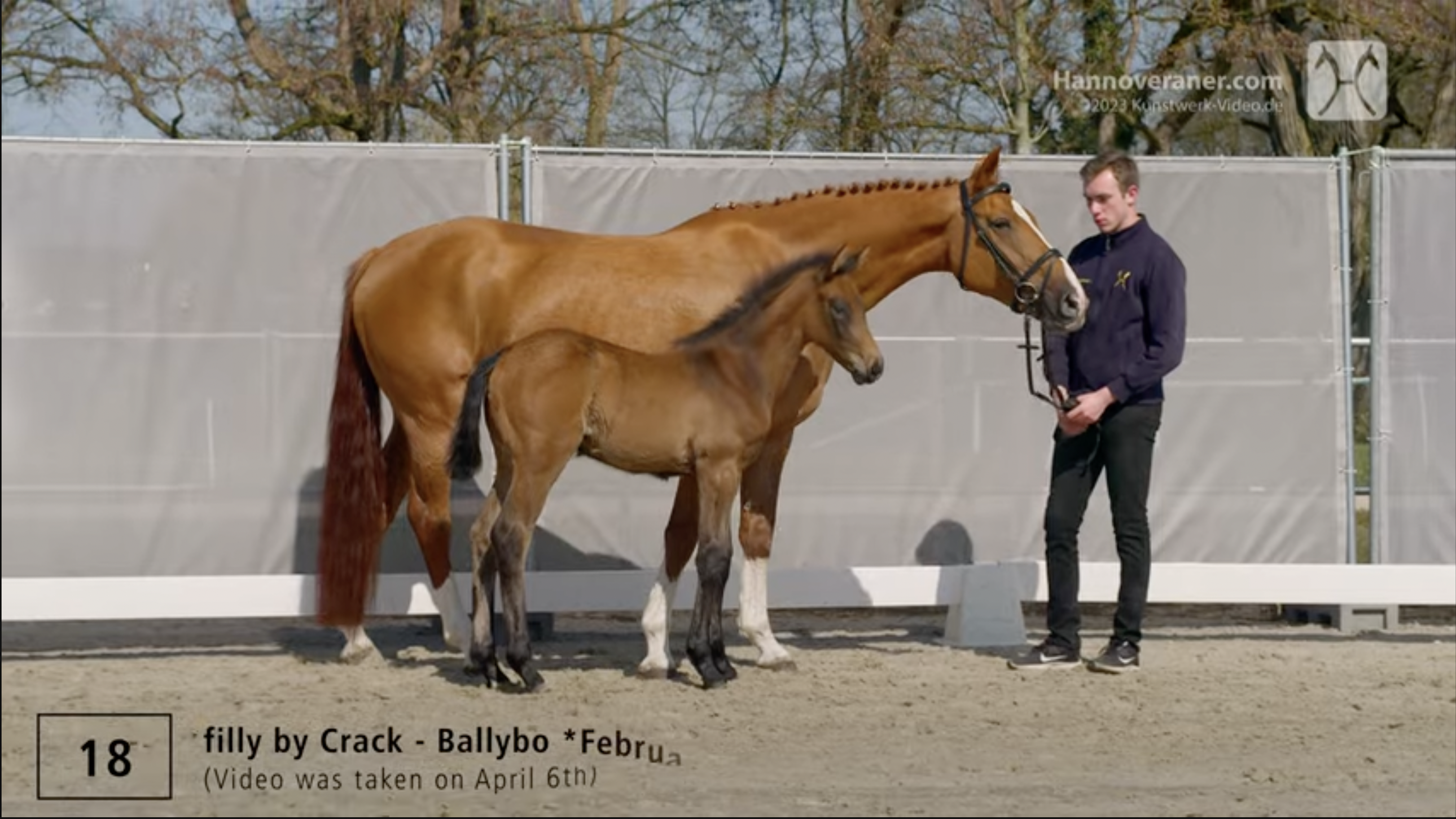 Camilla – verkauft Camilla – verkauft