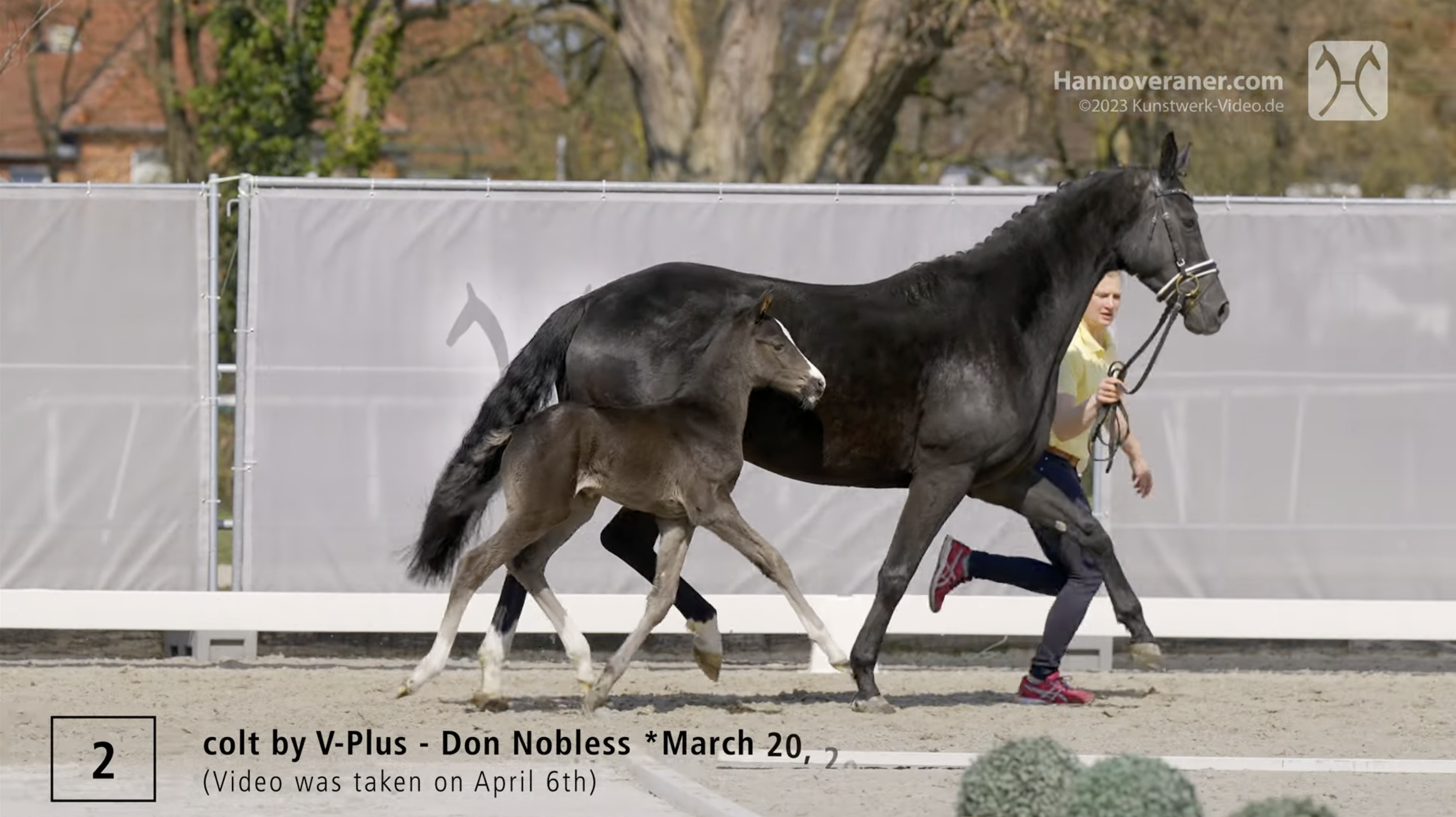 Vi Vino – verkauft – Vi Vino – verkauft –