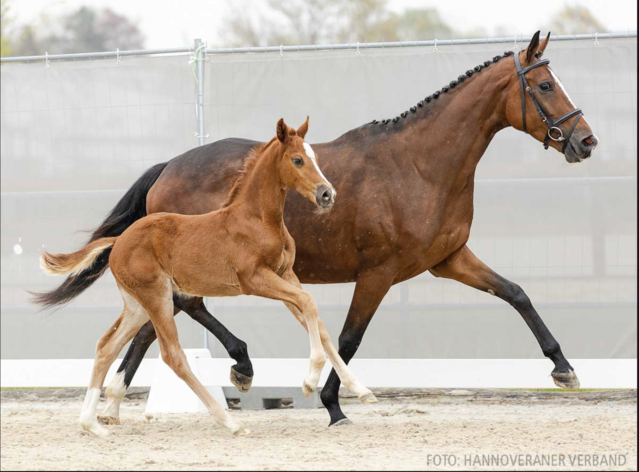 Valencia 2 Valencia 2