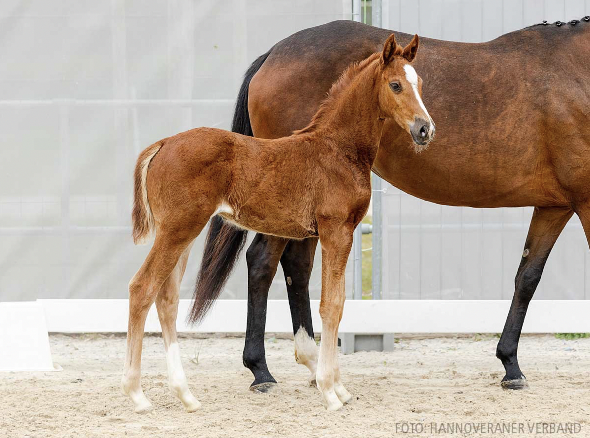 Valencia 3 Valencia 3