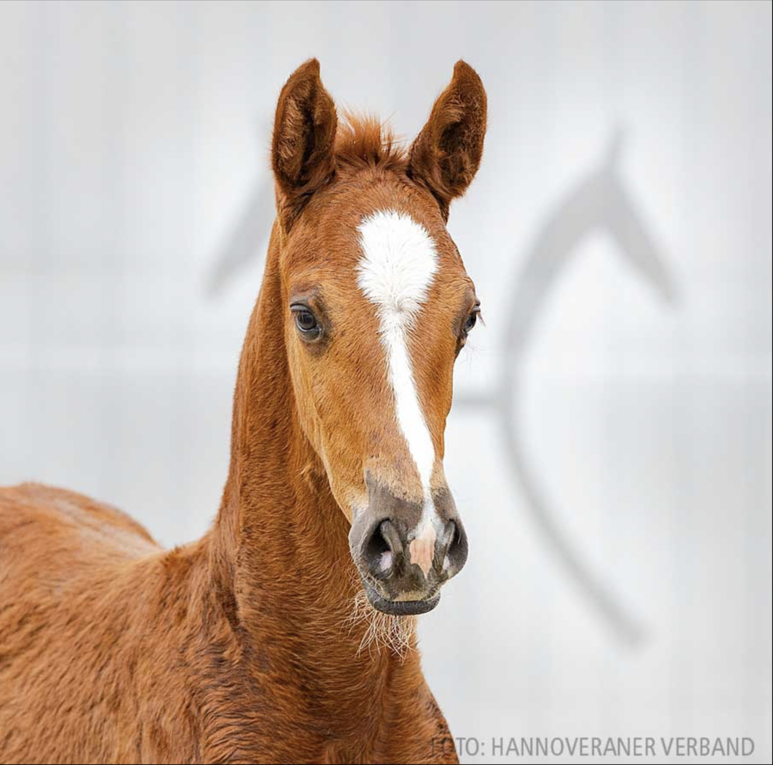 Valencia 4 Valencia 4