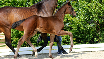 By my Side – verkauft By my Side – verkauft