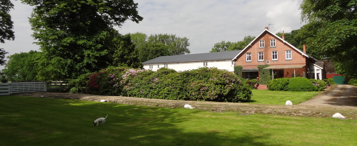 Pferdezucht Brigitte Kamps